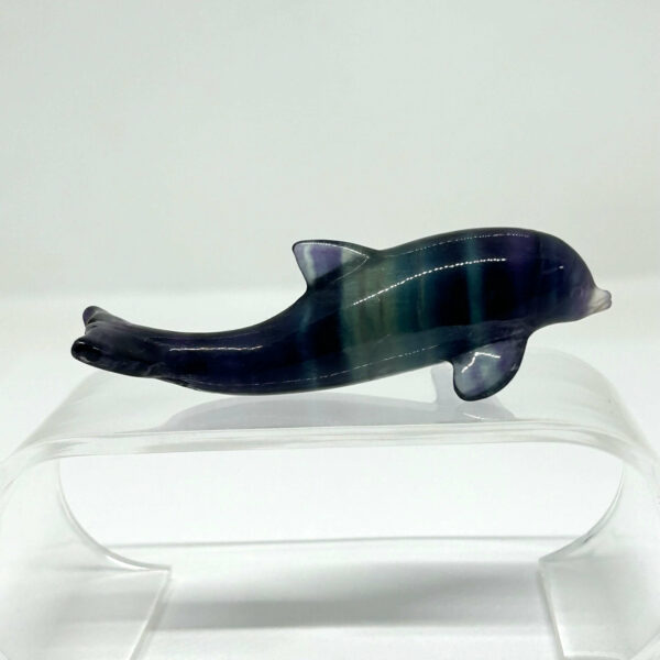 Delfin Fluorit
