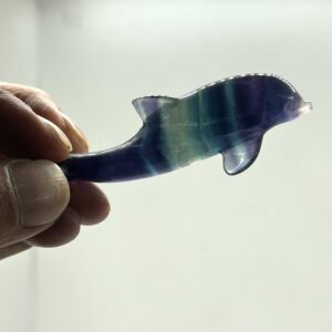 Delfin Fluorit