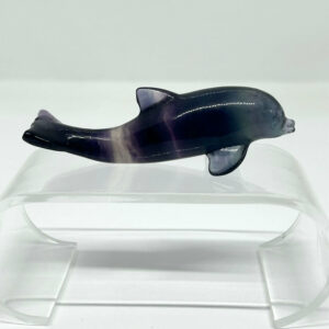 Delfin Fluorit