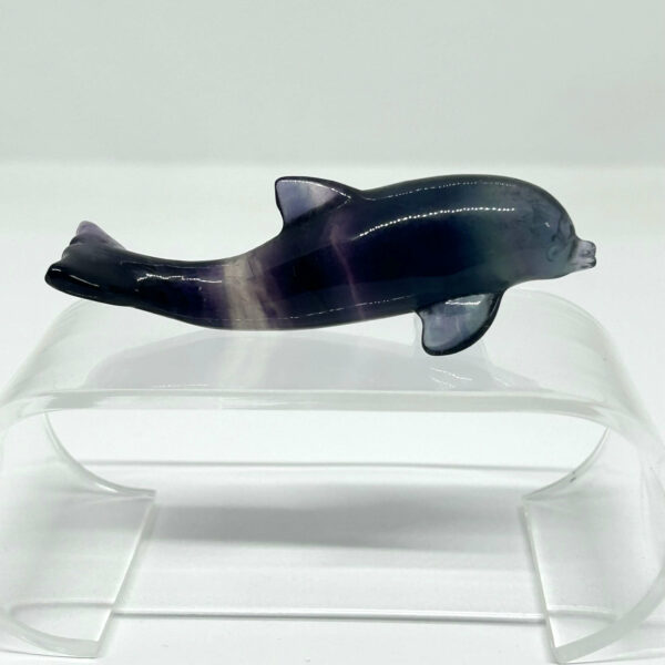 Delfin Fluorit