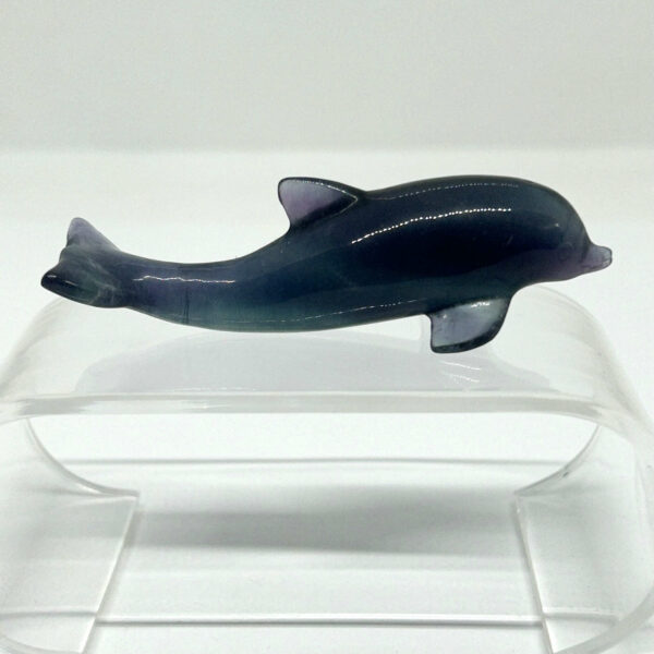 Delfin Fluorit