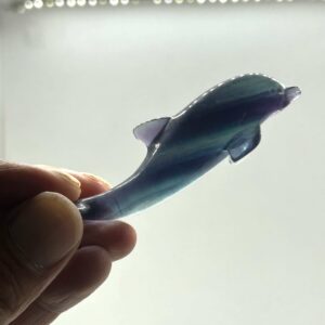 Delfin Fluorit