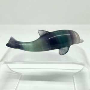 Delfin Fluorit