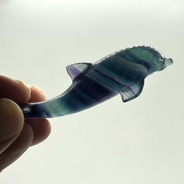 Delfin Fluorit