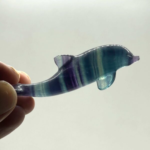 Delfin Fluorit