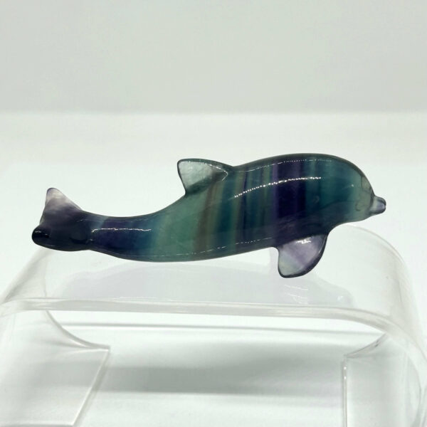 Delfin Fluorit