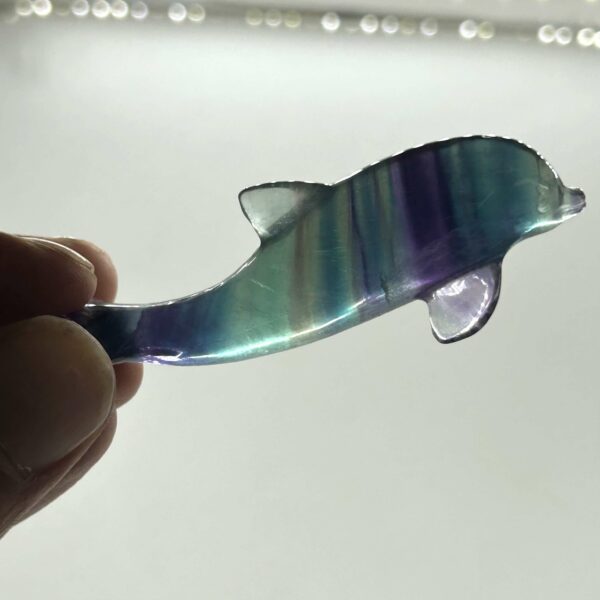 Delfin Fluorit