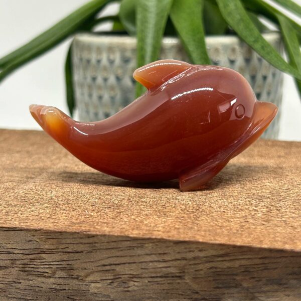 Agat Delfin (3) - Billede 2