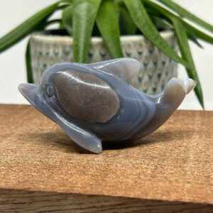 Agat Delfin