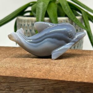 Agat Delfin