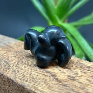 Mini Pokemon Lichtung Obsidian