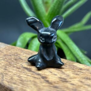 Mini Pokemon Umbreon Obsidian