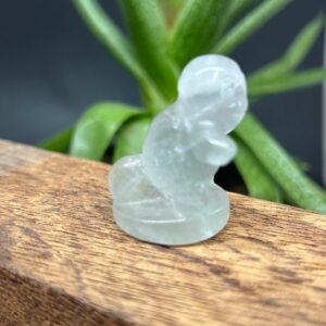 Mini Pokemon Squirtle Fluorit