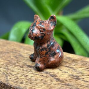 Mini Fransk Bulldog Mahogni Obsidian