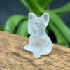 Mini Fransk Bulldog Bjergkrystal