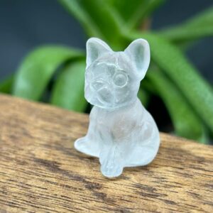 Mini Fransk Bulldog Bjergkrystal