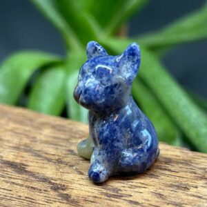 Mini Fransk Bulldog Sodalit