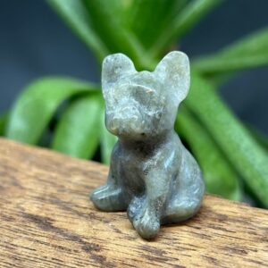 Mini Fransk Bulldog Labradorit