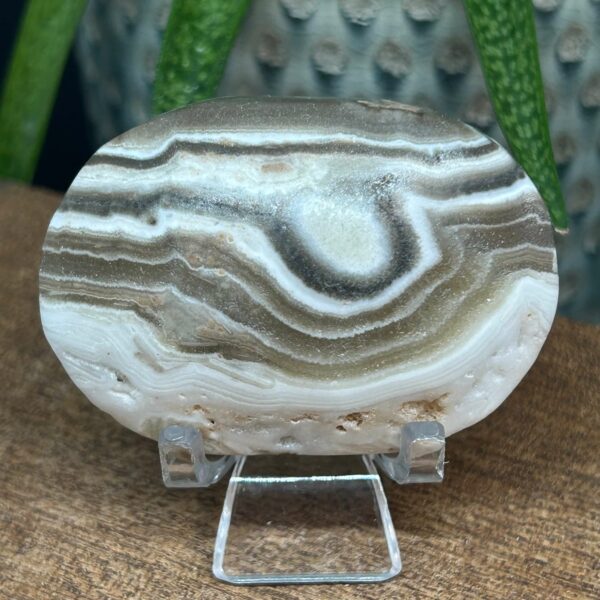 Zebra Calsit Palmstone