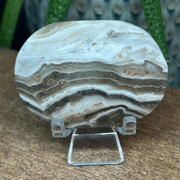 Zebra Calsit Palmstone