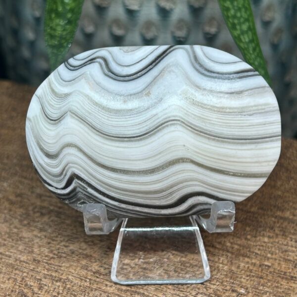 Zebra Calsit Palmstone