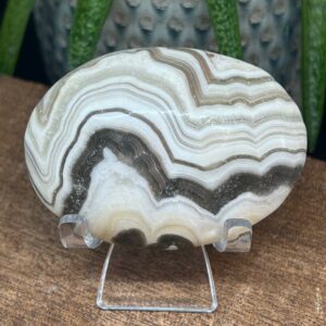 Zebra Calsit Palmstone