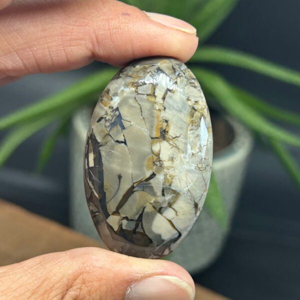 Vulkan Agat Palmstone (6) UV Reaktiv - Billede 2