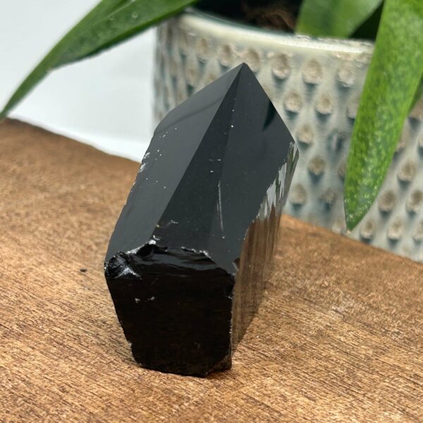 Obsidian Rå Spids