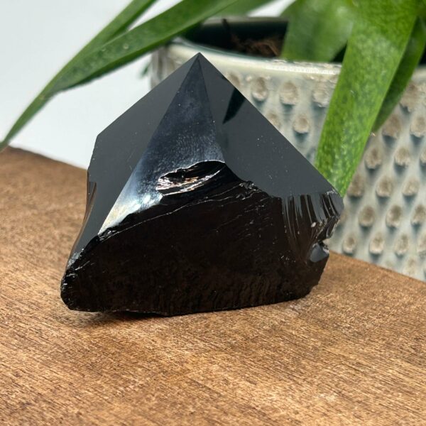 Obsidian Rå Spids