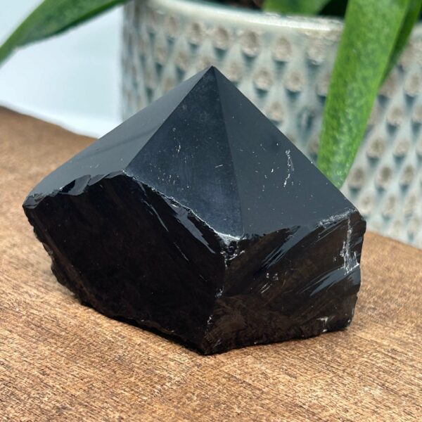 Obsidian Rå Spids