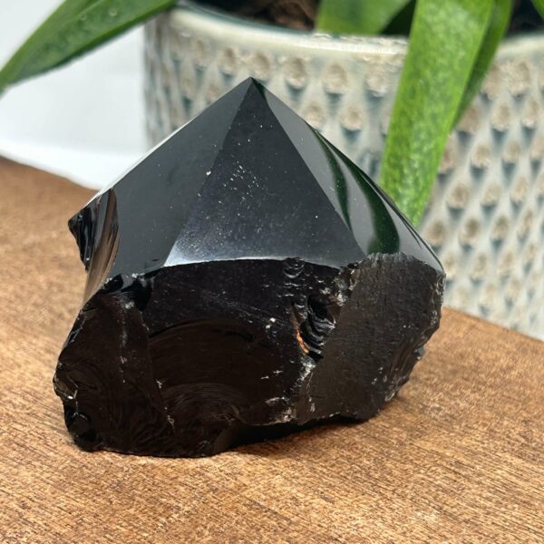 Obsidian Rå Spids