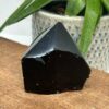Obsidian Rå Spids
