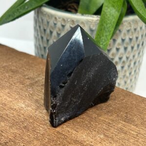 Obsidian Rå Spids