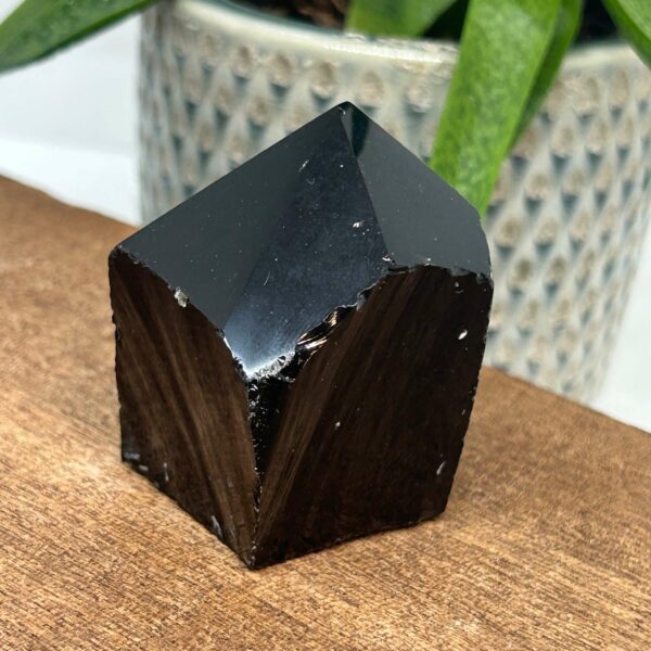 Obsidian Rå Spids