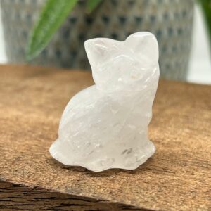 Kat Siddende Bjergkrystal