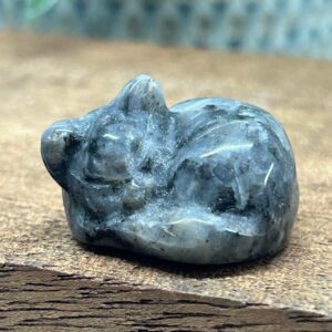 Kat Liggende Larvikit