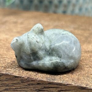 Kat Liggende Ukendt Materiale