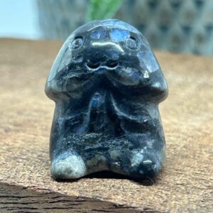 Happy Chubby Penis Que Sera
