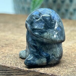 Happy Chubby Penis Que Sera