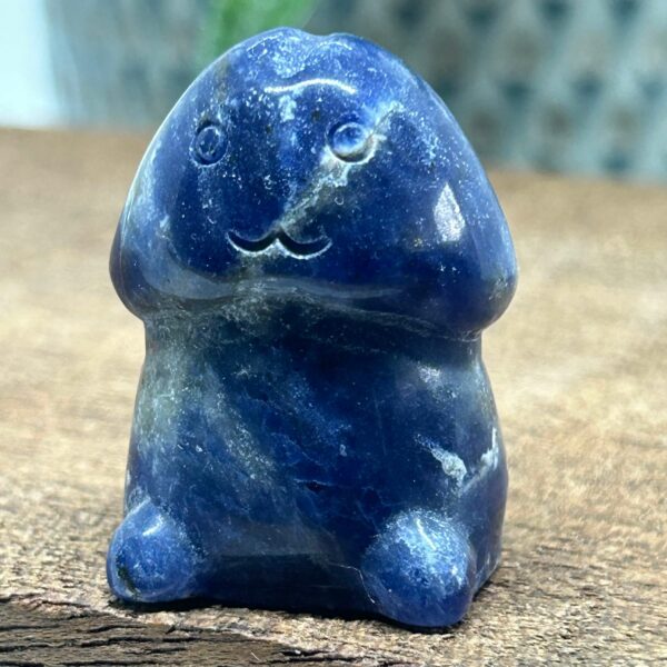 Happy Chubby Penis Sodalit