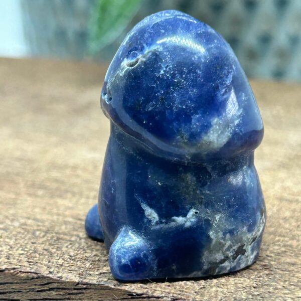 Happy Chubby Penis Sodalit