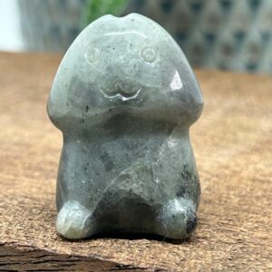Happy Chubby Penis Labradorit