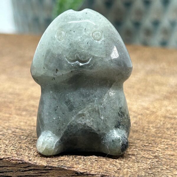 Happy Chubby Penis Labradorit