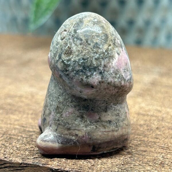 Happy Chubby Penis Rhodonit