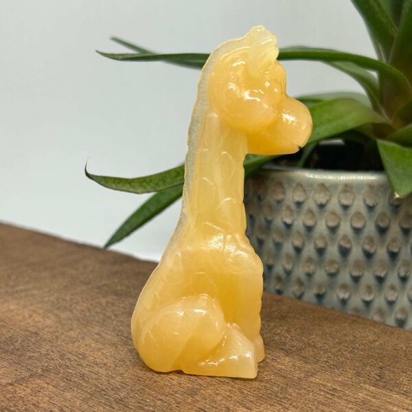 Giraf Siddende Orange Calsit