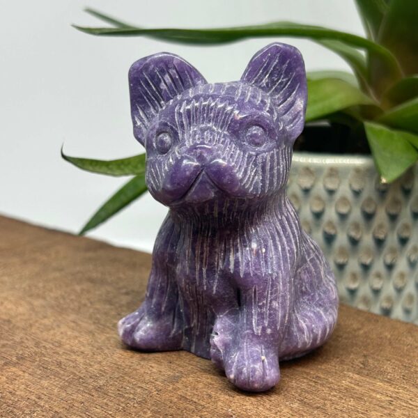 Fransk Bulldog Lepidolit