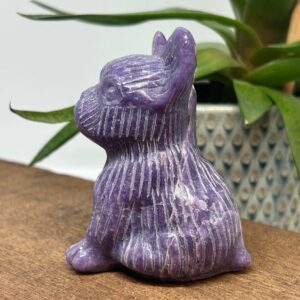 Fransk Bulldog Lepidolit