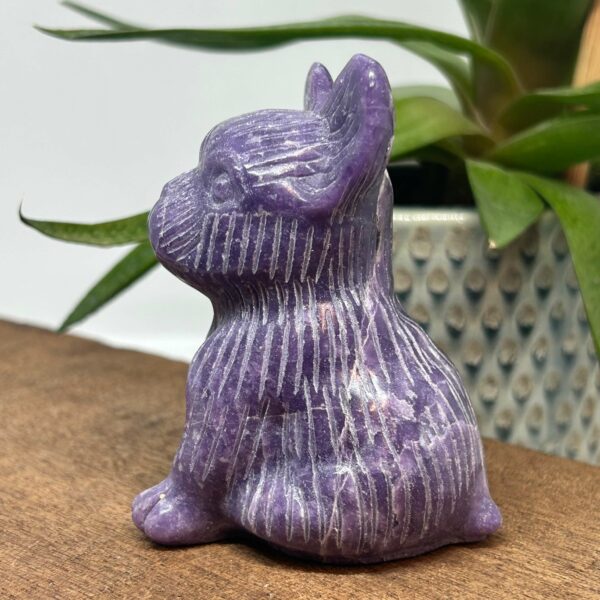 Fransk Bulldog Lepidolit