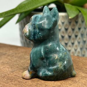 Fransk Bulldog Havjaspis