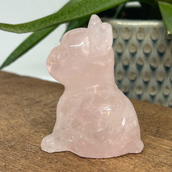 Fransk Bulldog Rosenkvarts